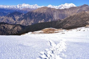 Chandrashila Winter Trek